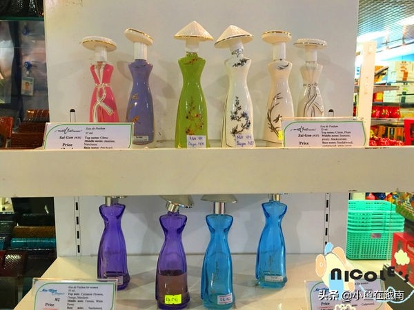 越南旅游自由行攻略最新 (越南自由行旅游必备物品清单)