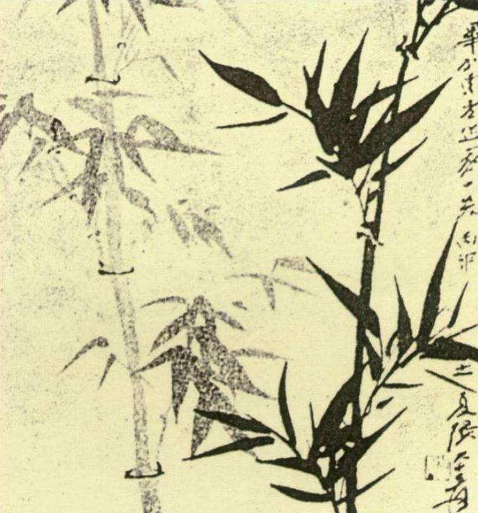 张大千和毕加索合影照片,张大千和毕加索互相赠送的相册