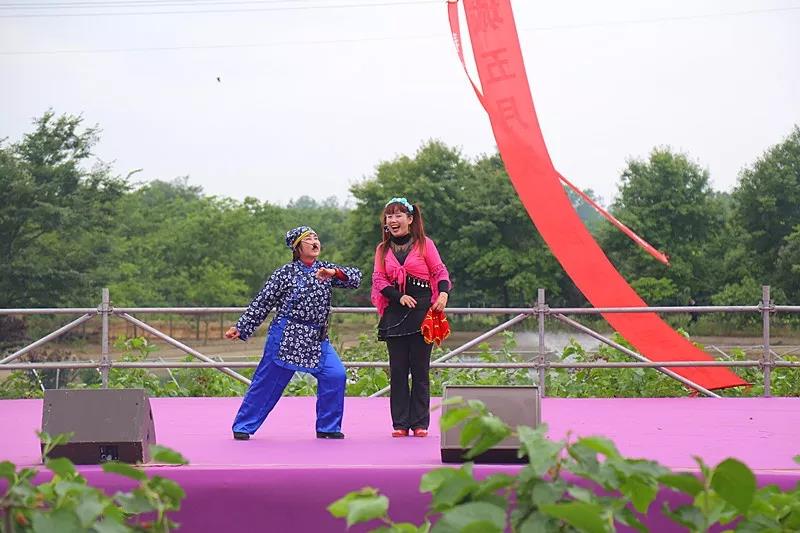 八方游客齐聚桑果紫酒节，共赴这场采桑品酿盛会