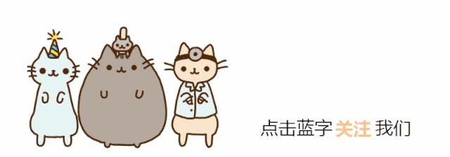 定期帮猫咪去浮毛很重要,定期给猫驱虫还会有跳蚤吗