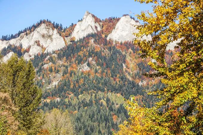 游记｜波兰—你所不知道的童话国度