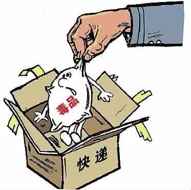 12月16日·宝鸡要闻快报