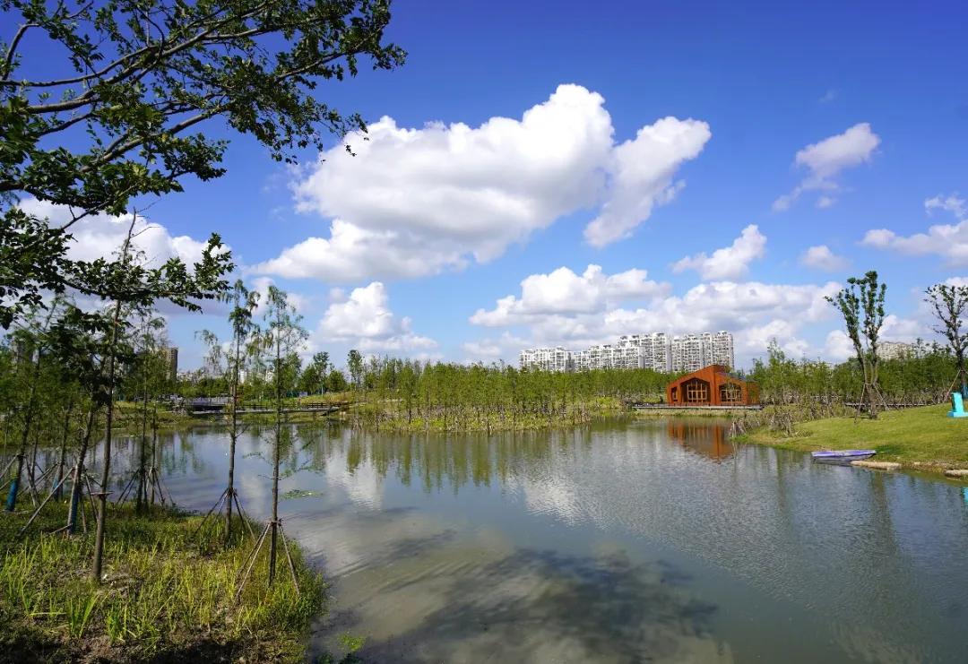 盐龙体育公园开放时间,盐龙体育公园开园仪式