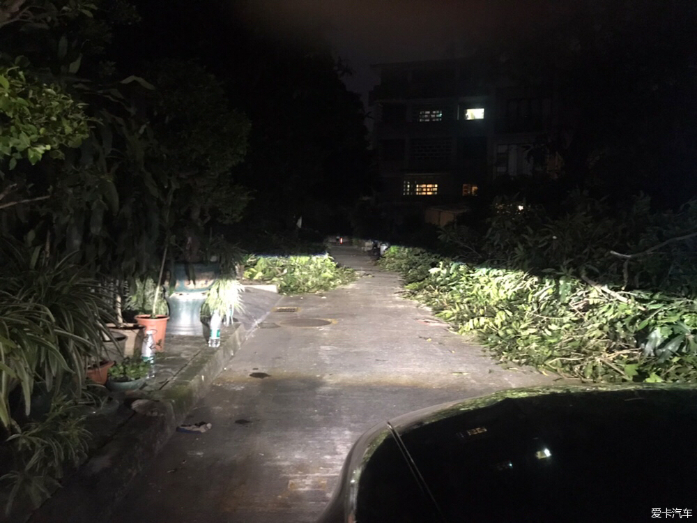 帕萨特新领驭玩车日常,帕萨特新领驭使用技巧