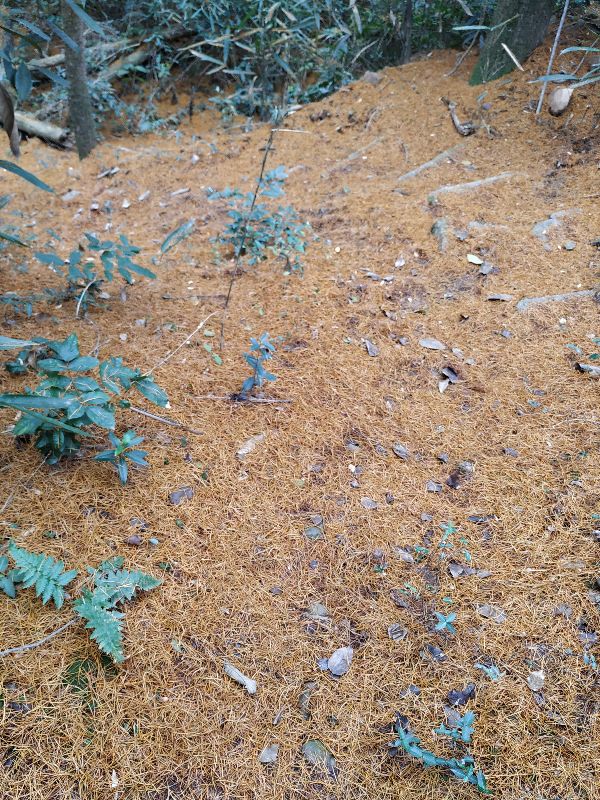 杭州市周末自驾游去哪里好玩,杭州出发周末旅游攻略