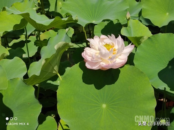 小米mix4拆机评测视频,小米mix4评测