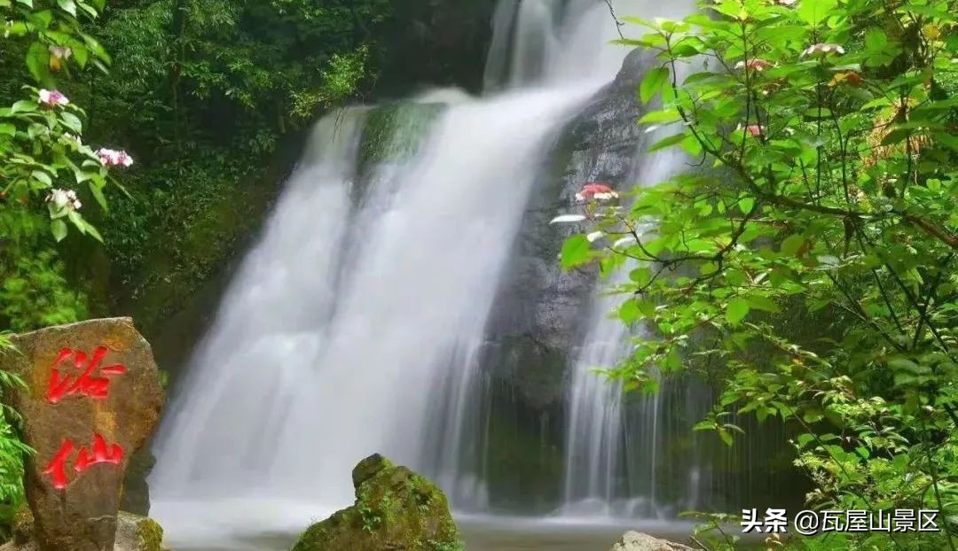 送你个惊喜,送给你个惊喜英文