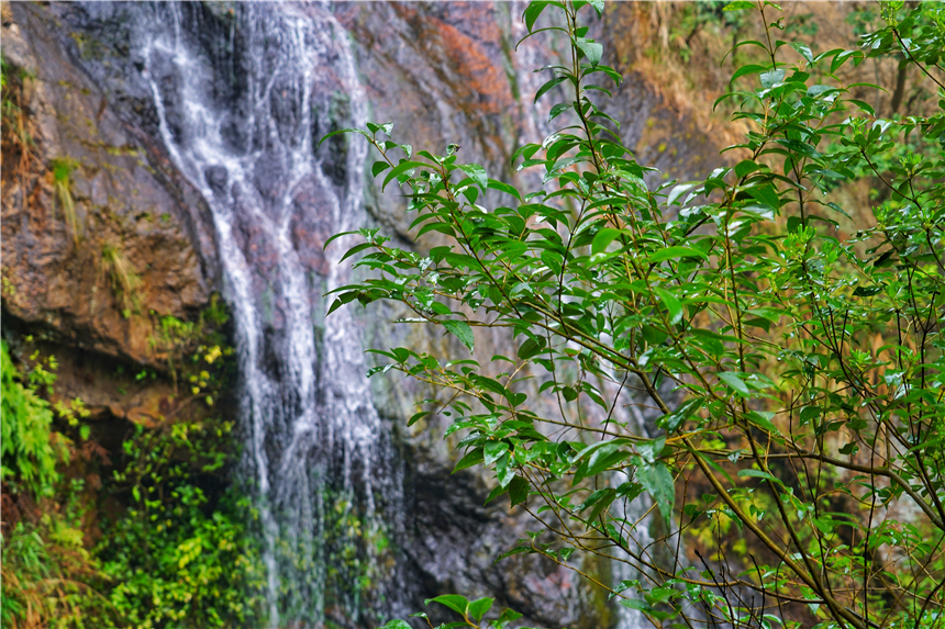 江南水乡旅游攻略四天三晚,温州旅行攻略四天三夜