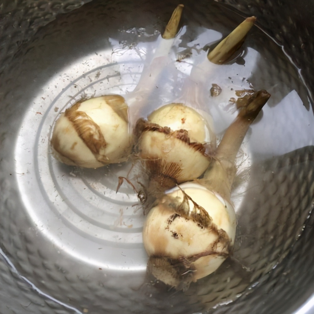 成都曾经街头的小生意：擦皮鞋、削菠萝、改裤脚、换拉链