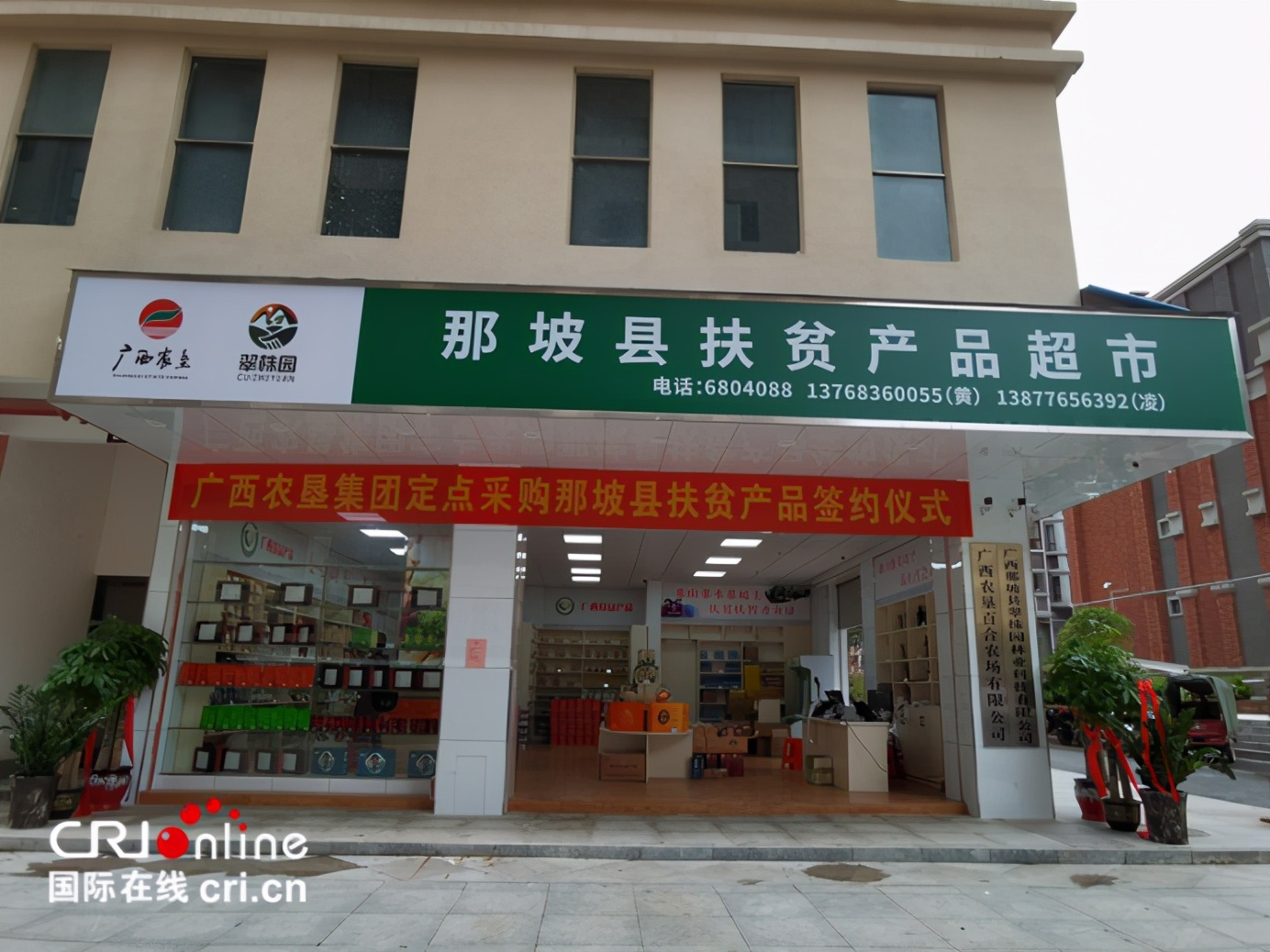 广西那坡县扶贫,广西那坡县农业