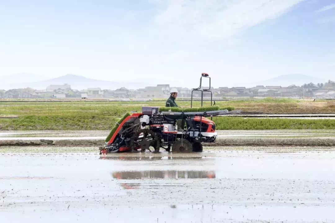 gooddesignaward获奖作品,gooddesignaward获奖指南