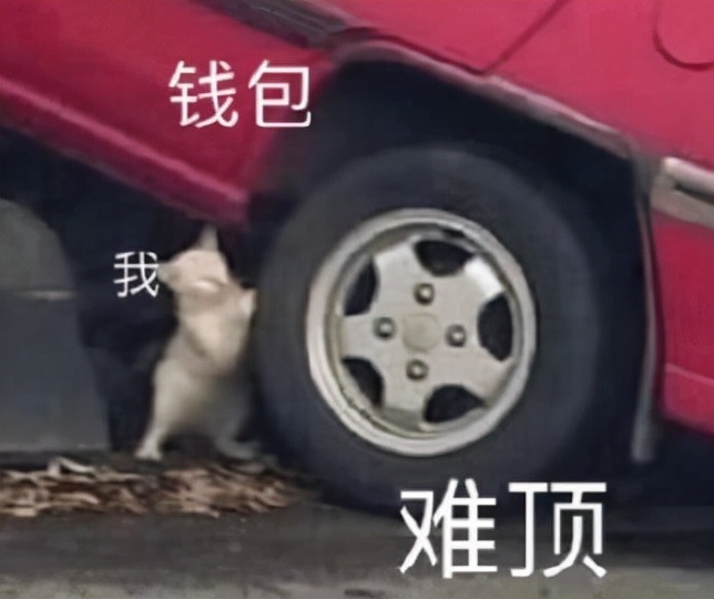 威震天得知自己被举报,威震天被举报外国人评论