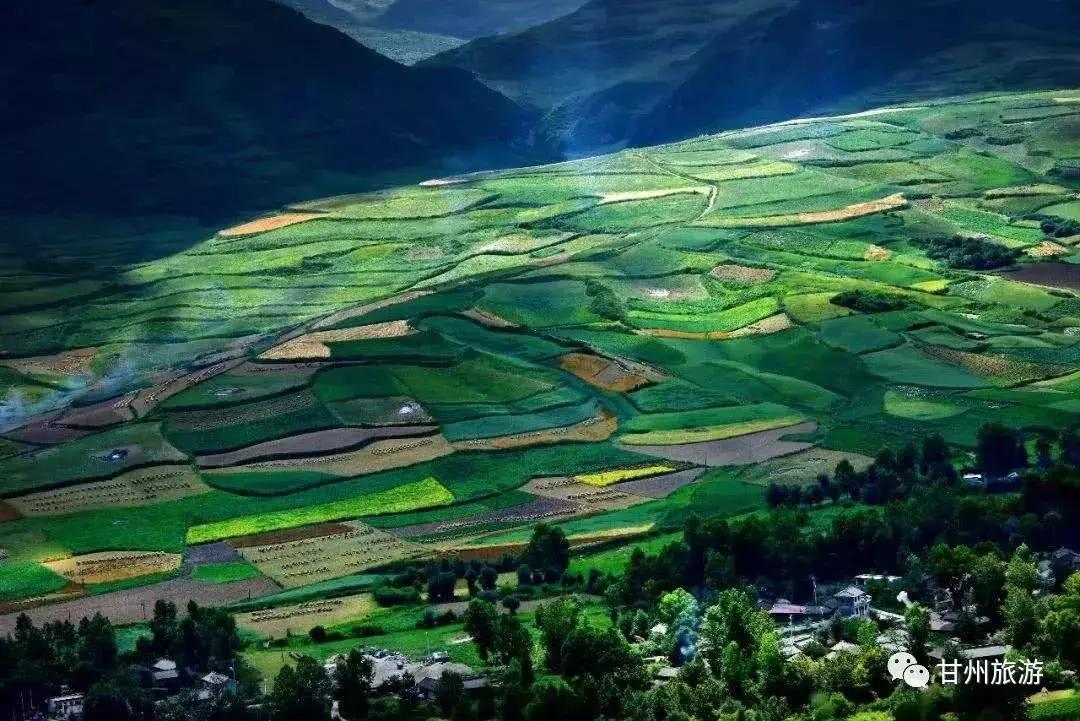 惠惠惠惠,惠惠惠惠惠惠子