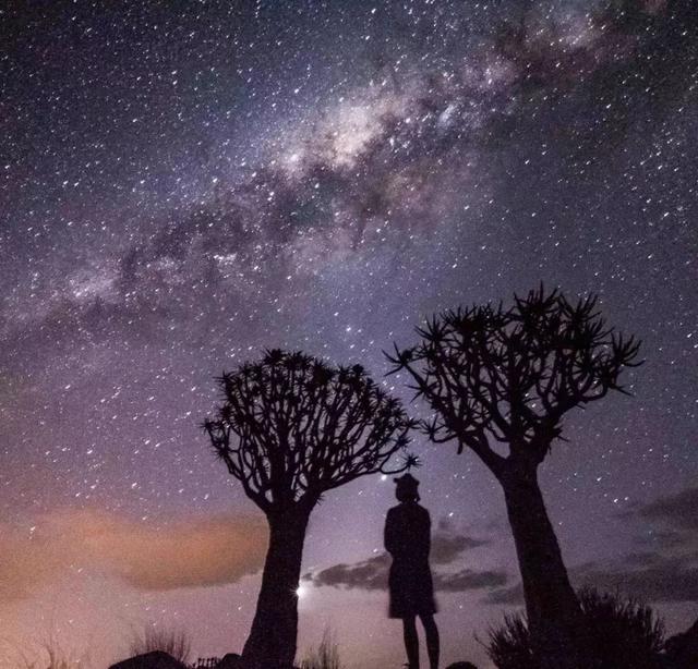 53天环游世界旅行,80天环游世界环游了哪几个国家