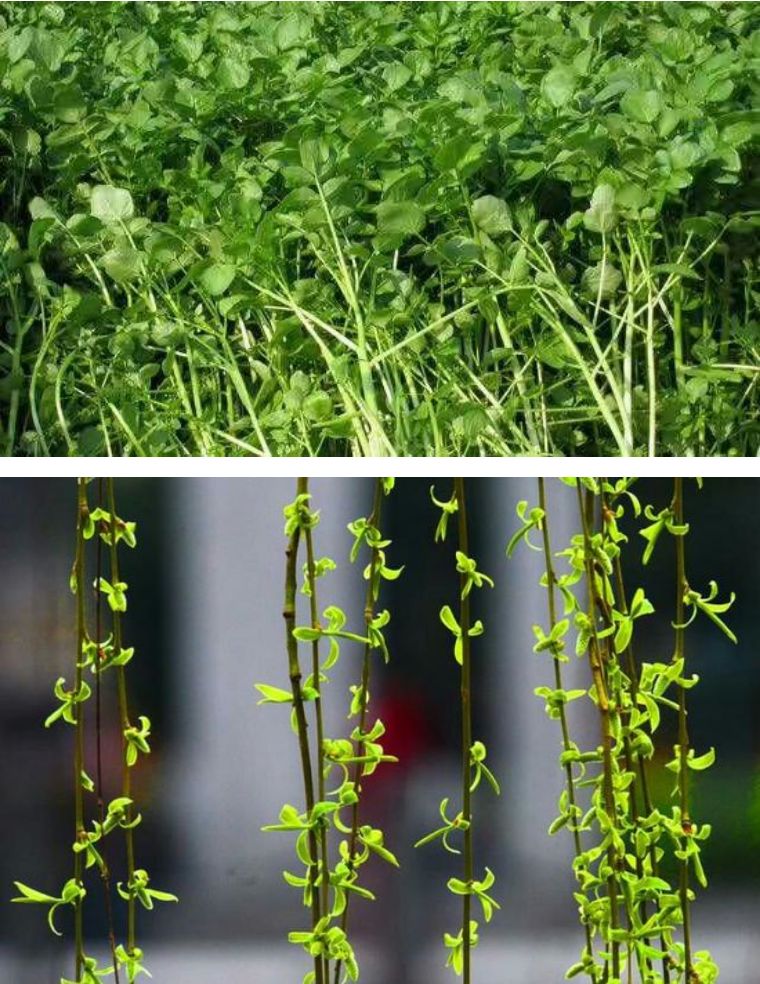 北京郊游去的民宿,北京郊游民宿