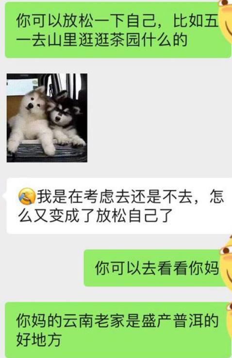 卖茶女套路搞笑对话,关于卖茶女的搞笑段子