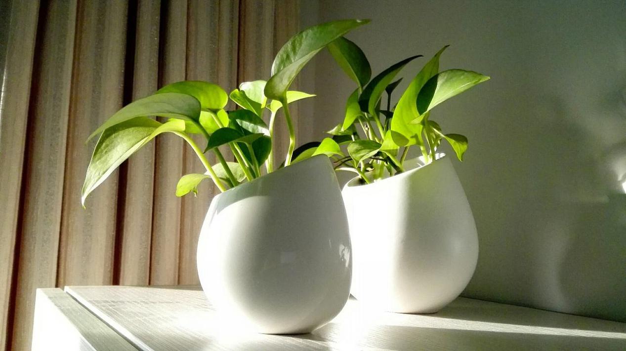 新买家具怎么样去除异味,快速除醛住新家