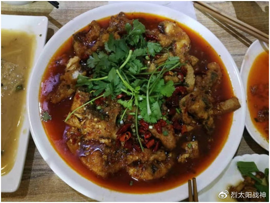 西安重庆成都九寨沟旅行顺序,出游记之四川