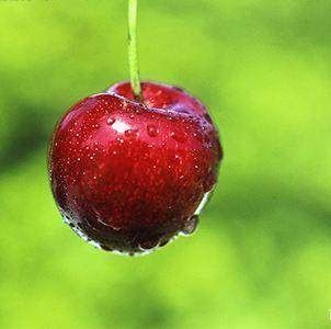 水果杂交冷知识,你不知道的水果冷知识