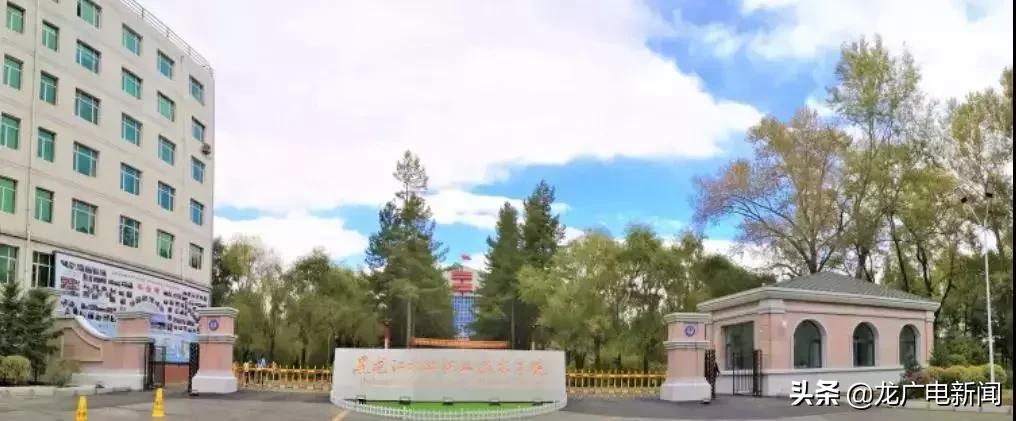 黑龙江省优秀高中学校,黑龙江省冲击双一流学校名单