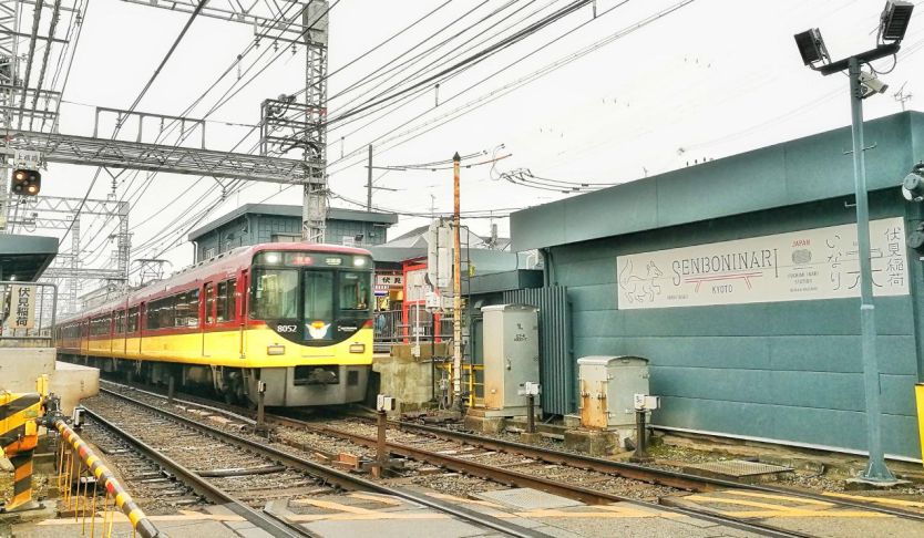 王思聪李易峰综艺节目,王思聪李易峰玩游戏