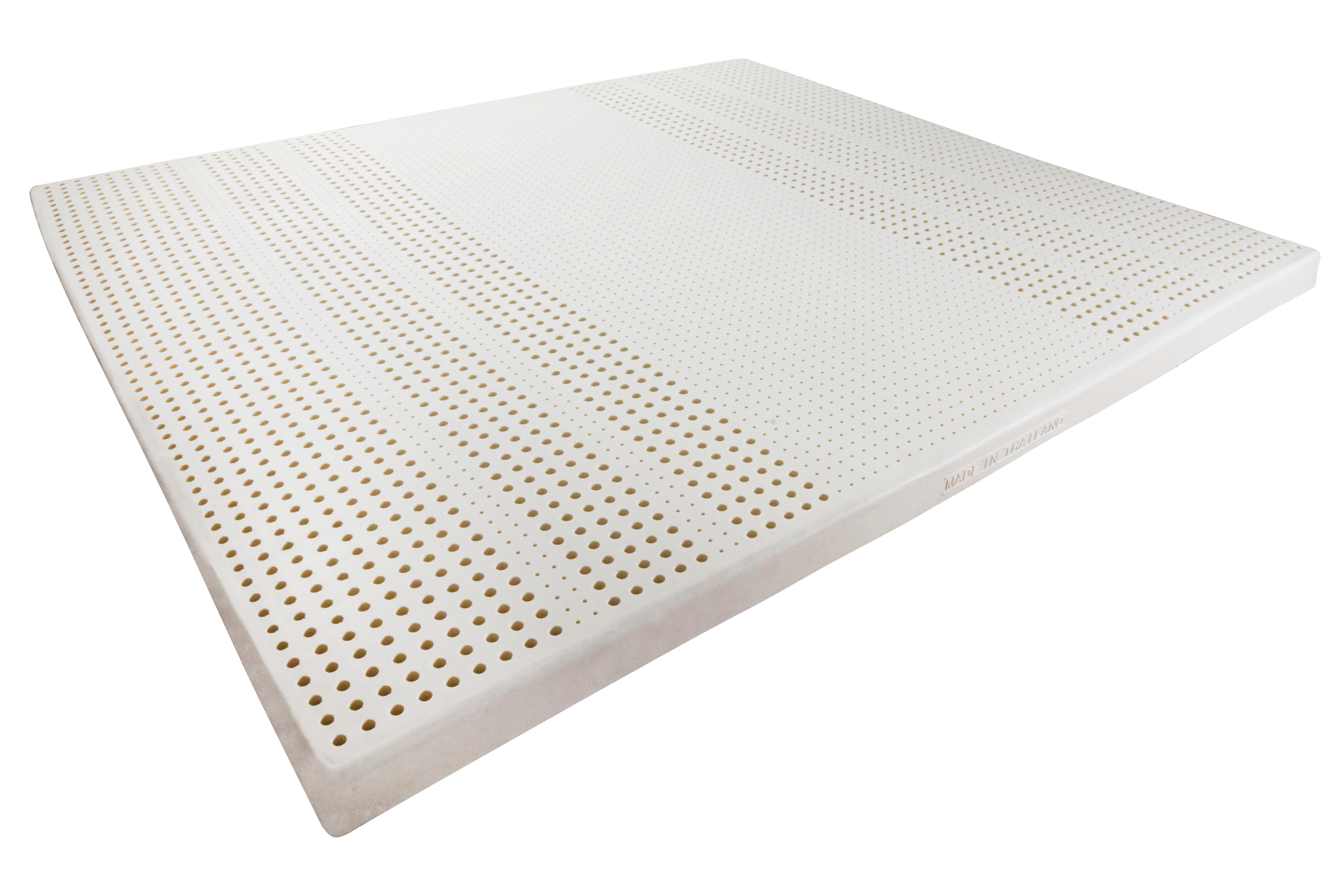 娉板浗娉版柉璇哄皵涔宠兌搴婂灚,娉板浗浜х壒鎷夐浄涔宠兌搴婂灚