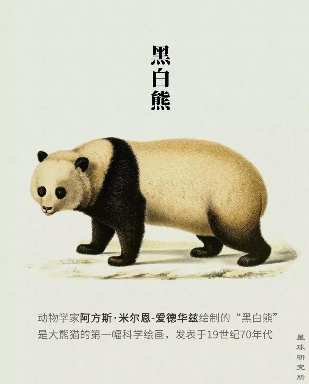 你才可爱你全家都可爱怎么回,你才可爱你全家都可爱出处