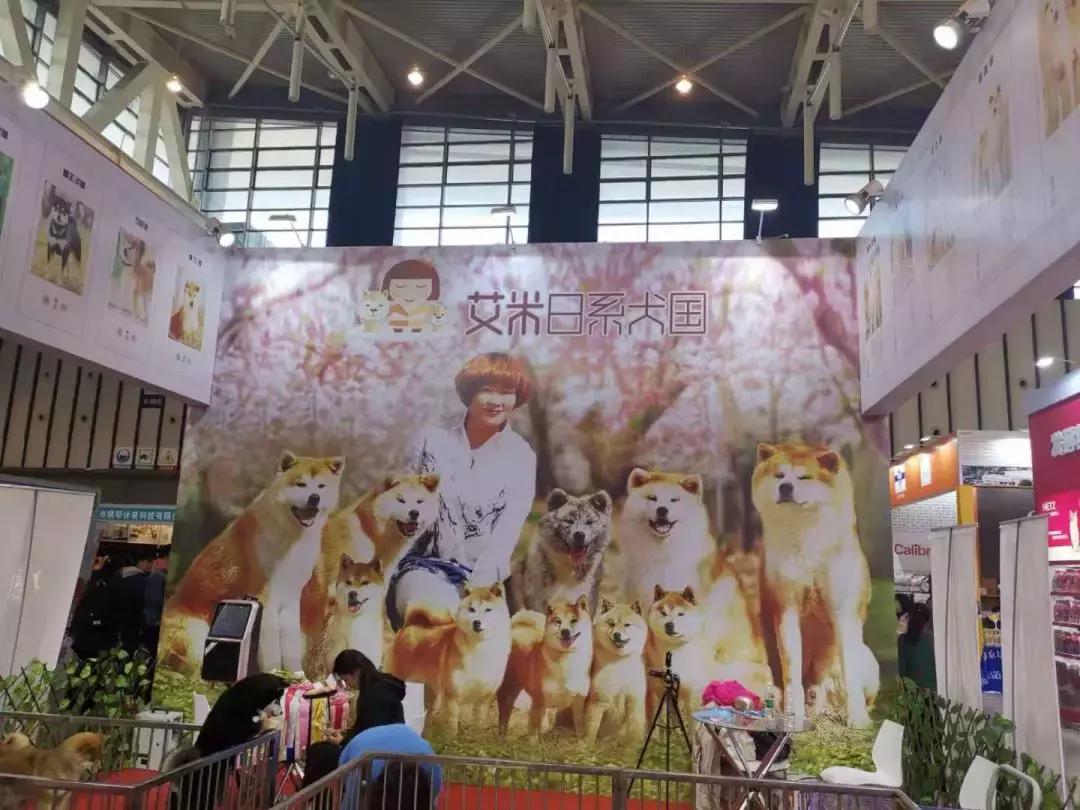 萌宠齐聚南京宠物博览会,day1