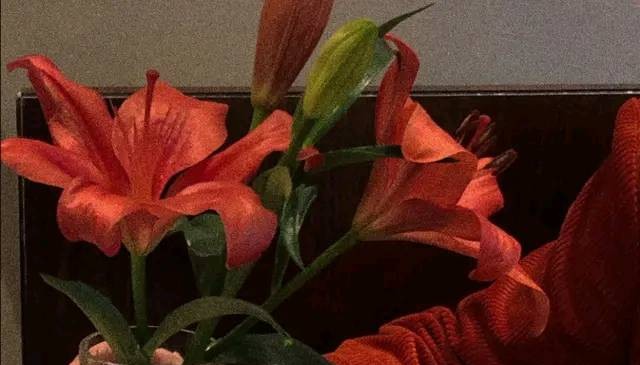 如果男人不主动联系女人该怎么做,如果男人不主动联系你他喜欢你吗