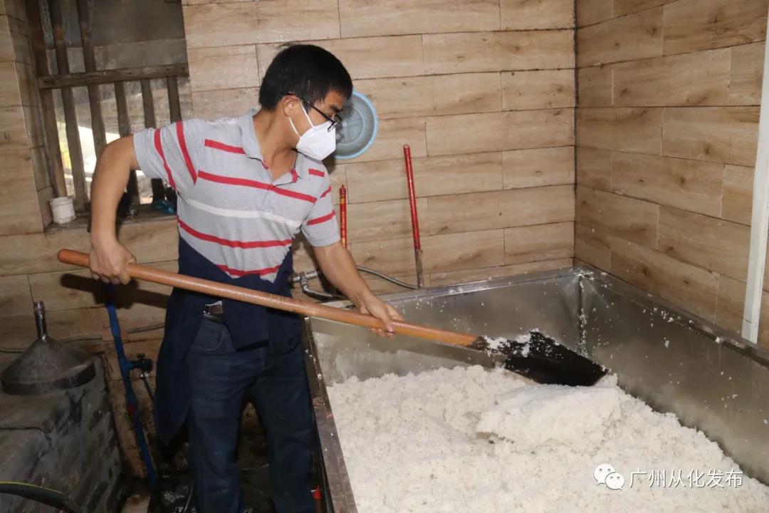 从化莲麻头酒十里飘香，昔日贫困村在绿水青山间迸发振兴力量