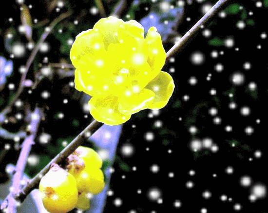 一任群芳妒,一任群芳妒上一句是什么