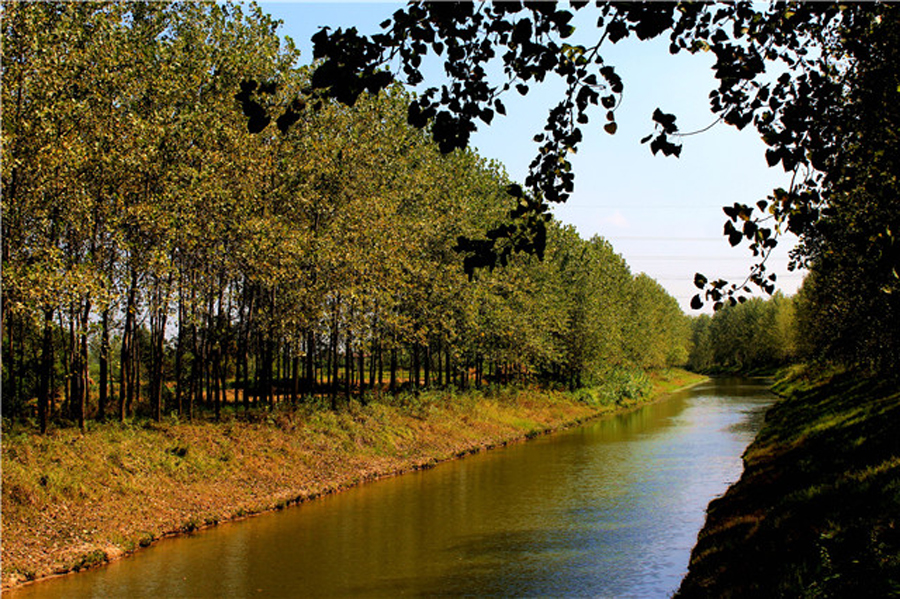 仪征市百强镇,扬州仪征市有多少个镇