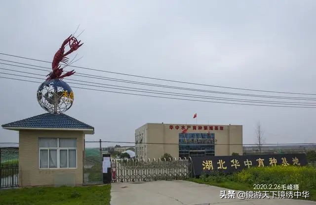 「镜绣中华」直击孝感封城（系列之四）