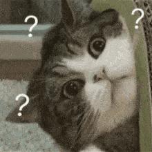 警惕多人被骗青岛警方重要提醒,青岛微信骗局套路