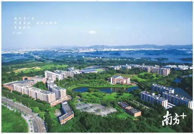 2020年东莞中考各校录取分数线,2022东莞中考成绩报告单