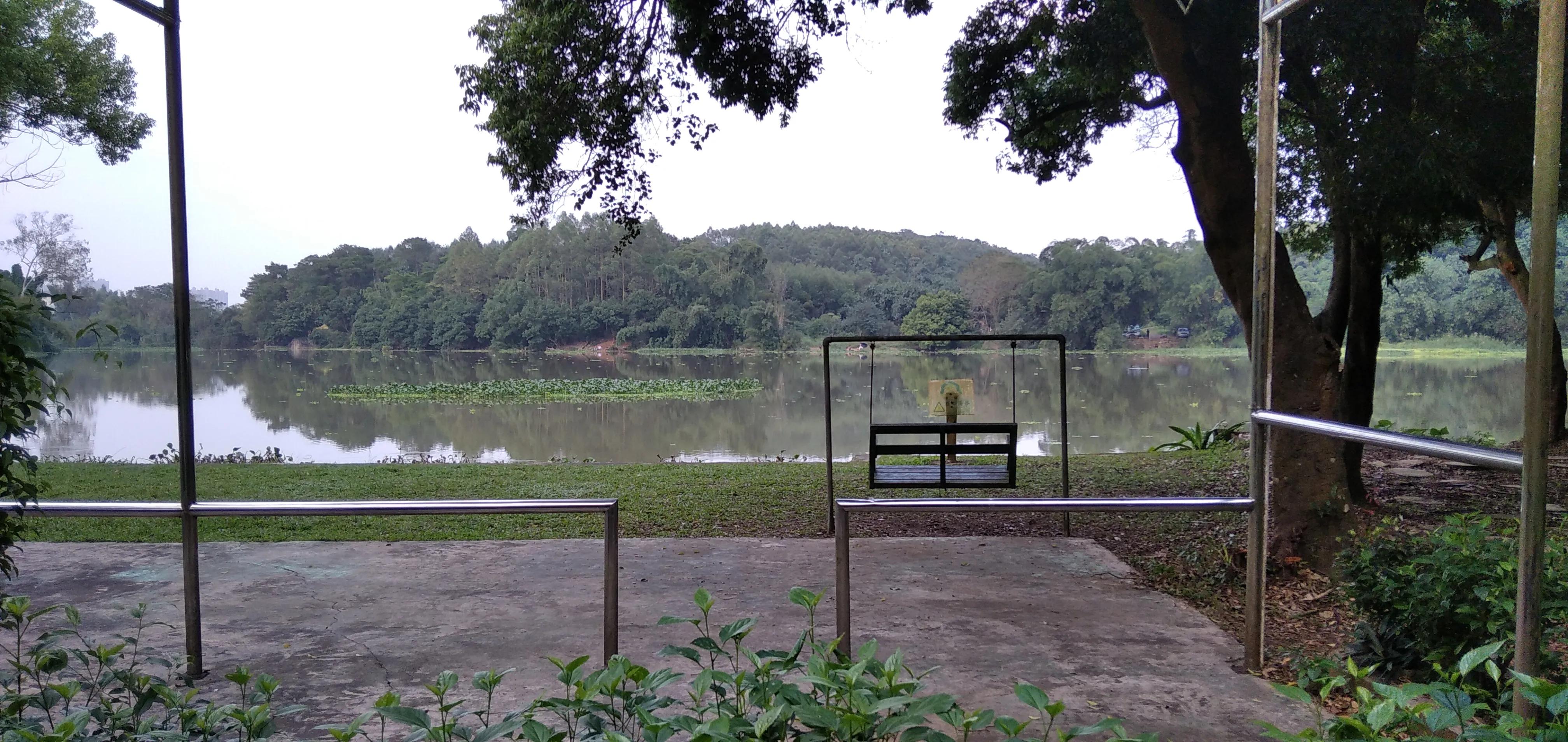 良凤江国家森林公园在哪里啊,良凤江国家森林公园