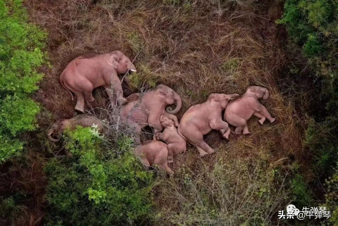 中国宣传片大国风光简短,最新中国风景宣传片