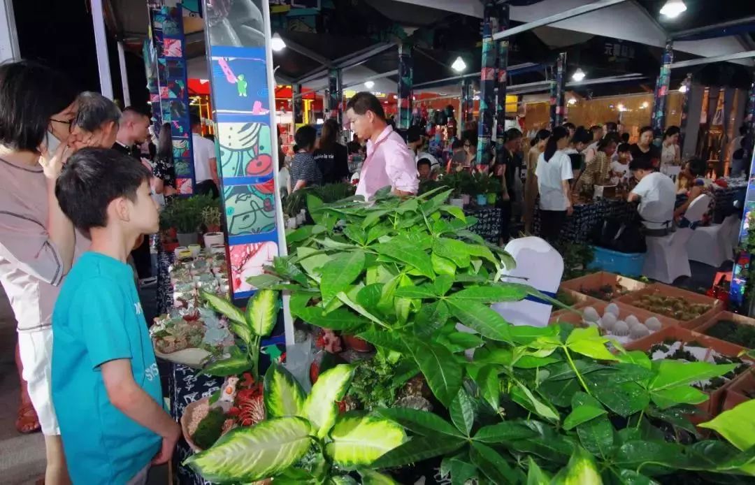 绍兴夜市哪里热闹,绍兴夜市嘉年华