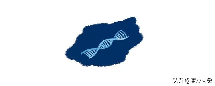 呼和浩特奶萌兽：足球摔跤样样行，体育课代表非它莫属！