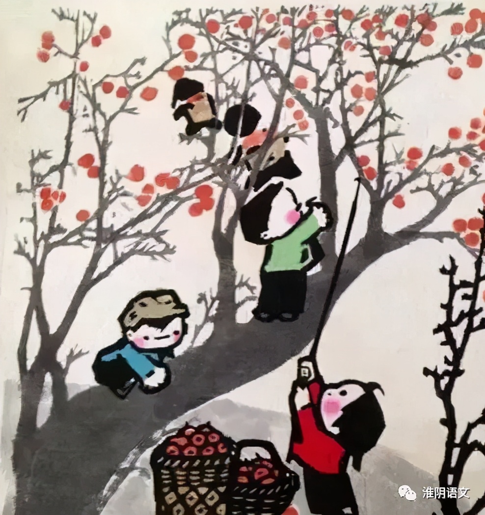 麦大夫人,麦大夫虫图片