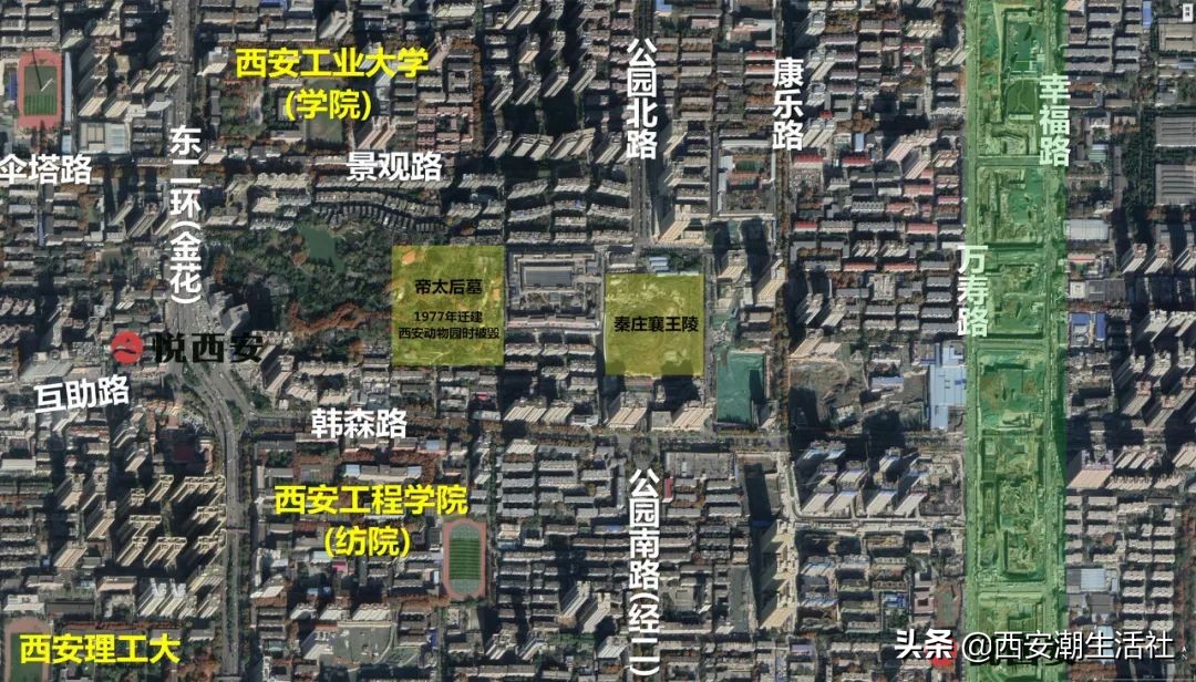 新开的幸福林带都有什么,幸福林带有什么变化