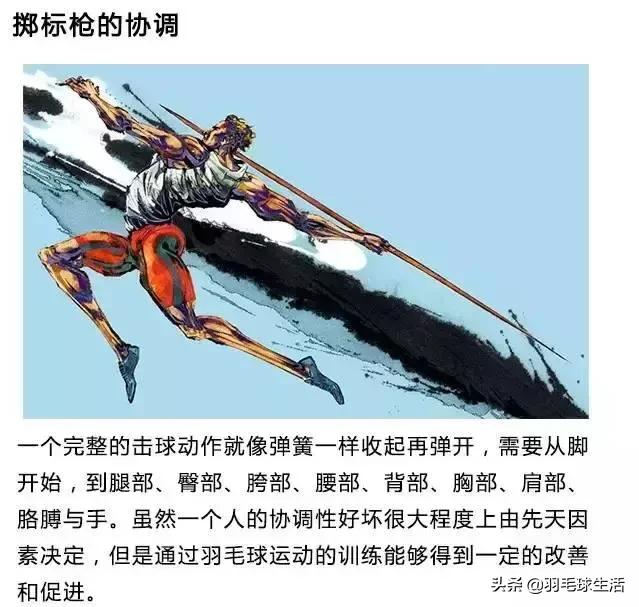 羽毛球和篮球谁运动量更大,篮球和足球和羽毛球哪个运动量大