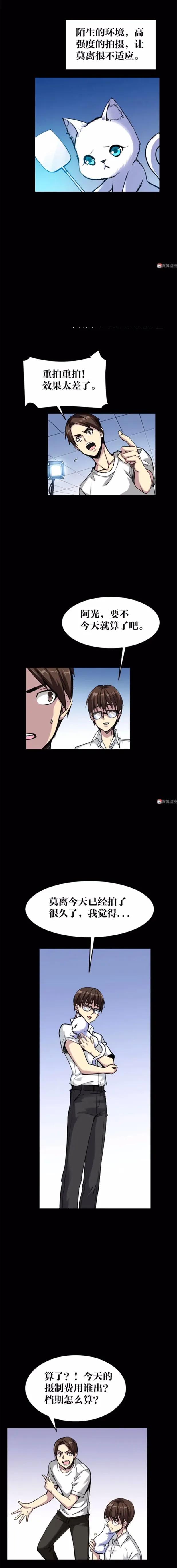 猫咪拟人化漫画,天秤座漫画猫咪