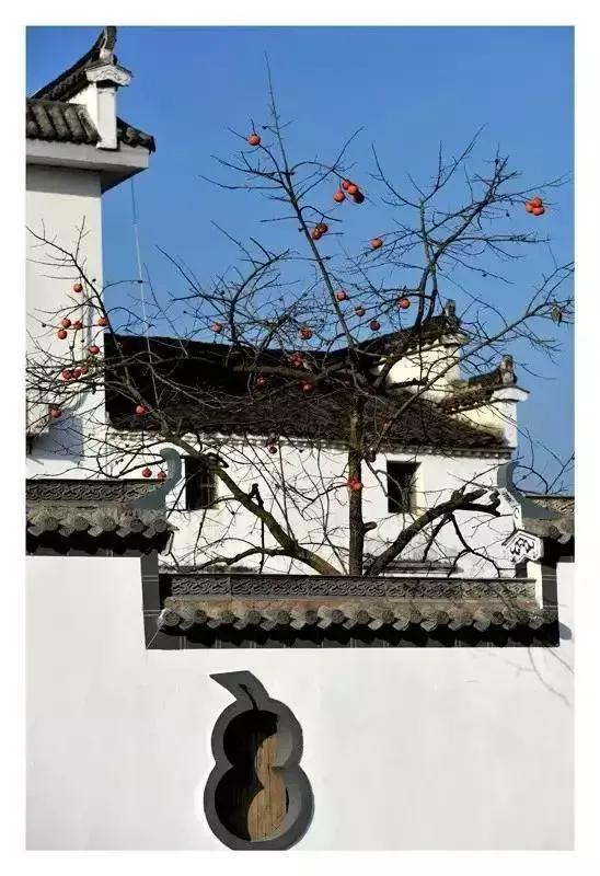 k型房怎么样,k型房地产格局分析及对策