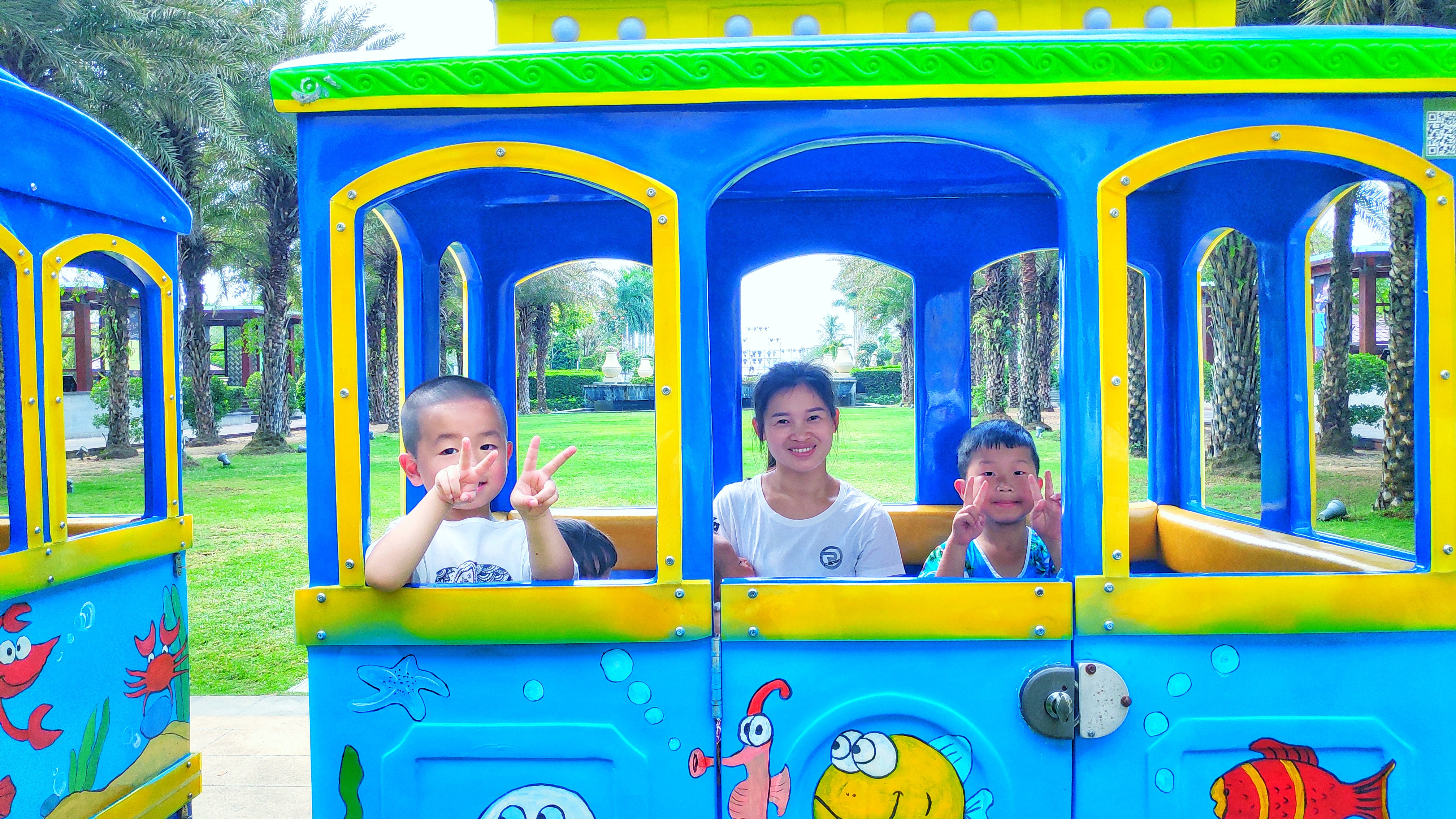 都是网红惹的祸,都是网红惹的祸完整版