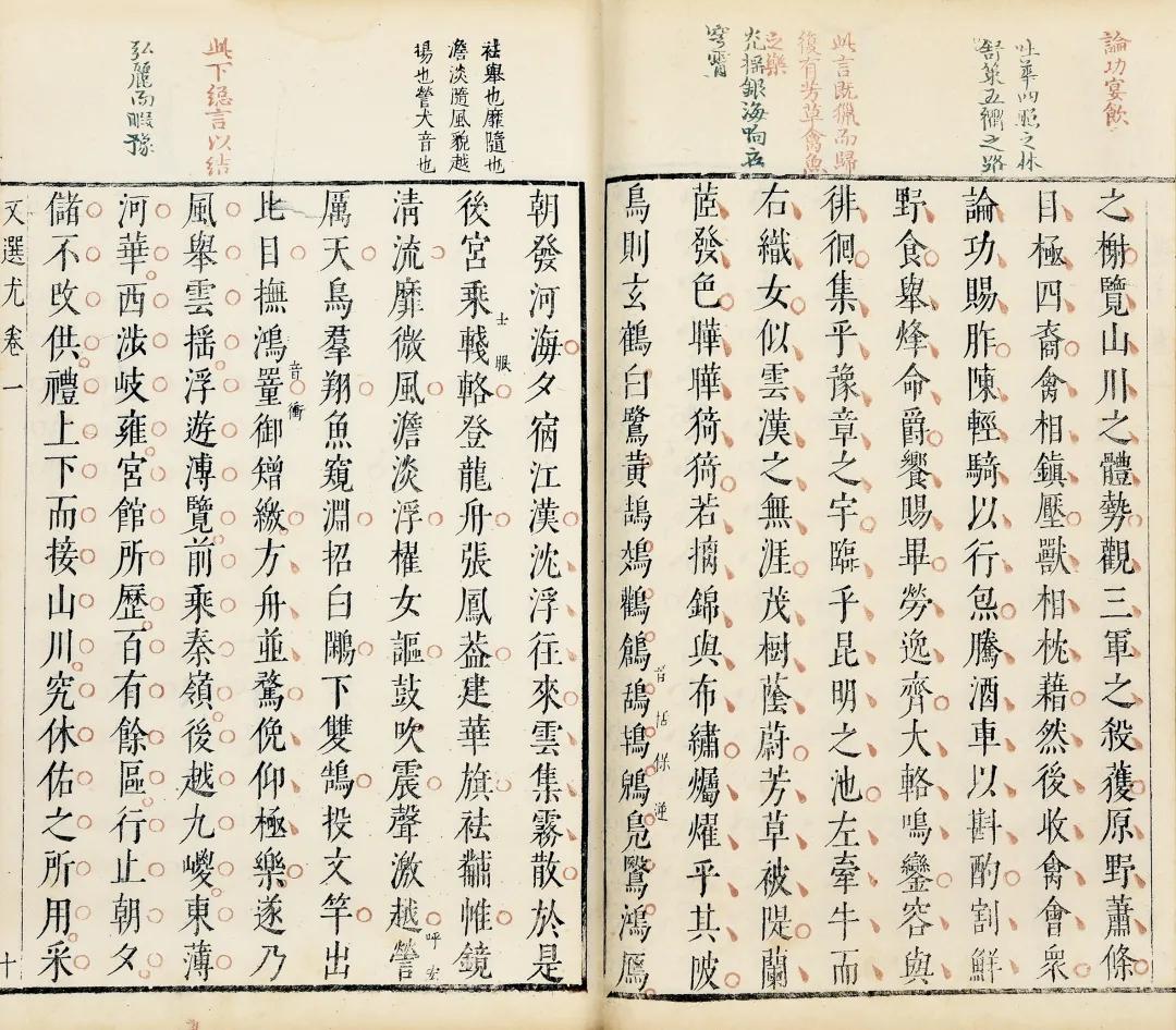 一念莲花开是什么意思,一念莲花开图片