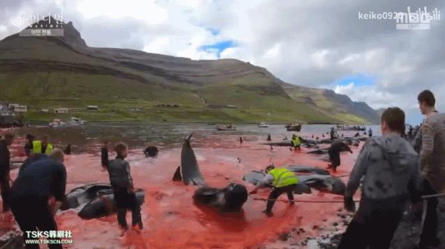 15岁怀孕的她，被骗吃下*药炸**，无辜去世：生而为人，有些人却不配