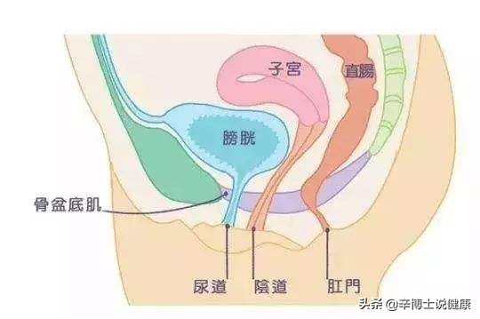 产后修复到底有没有必要做,产后修复真的有用吗
