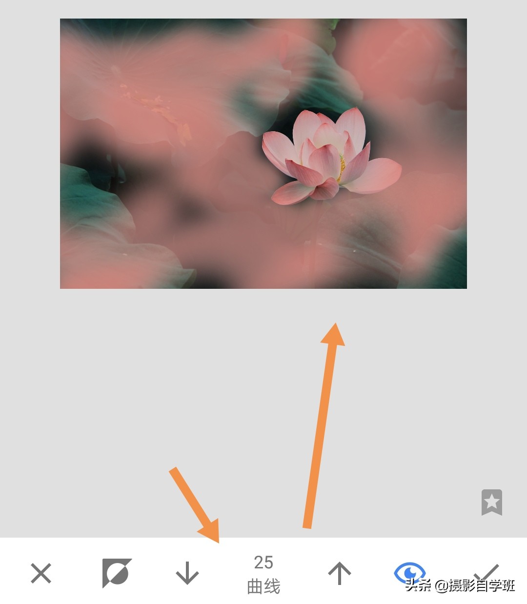 雾里看花怎么拍,雾景的拍摄技巧拍出雾气朦胧大片