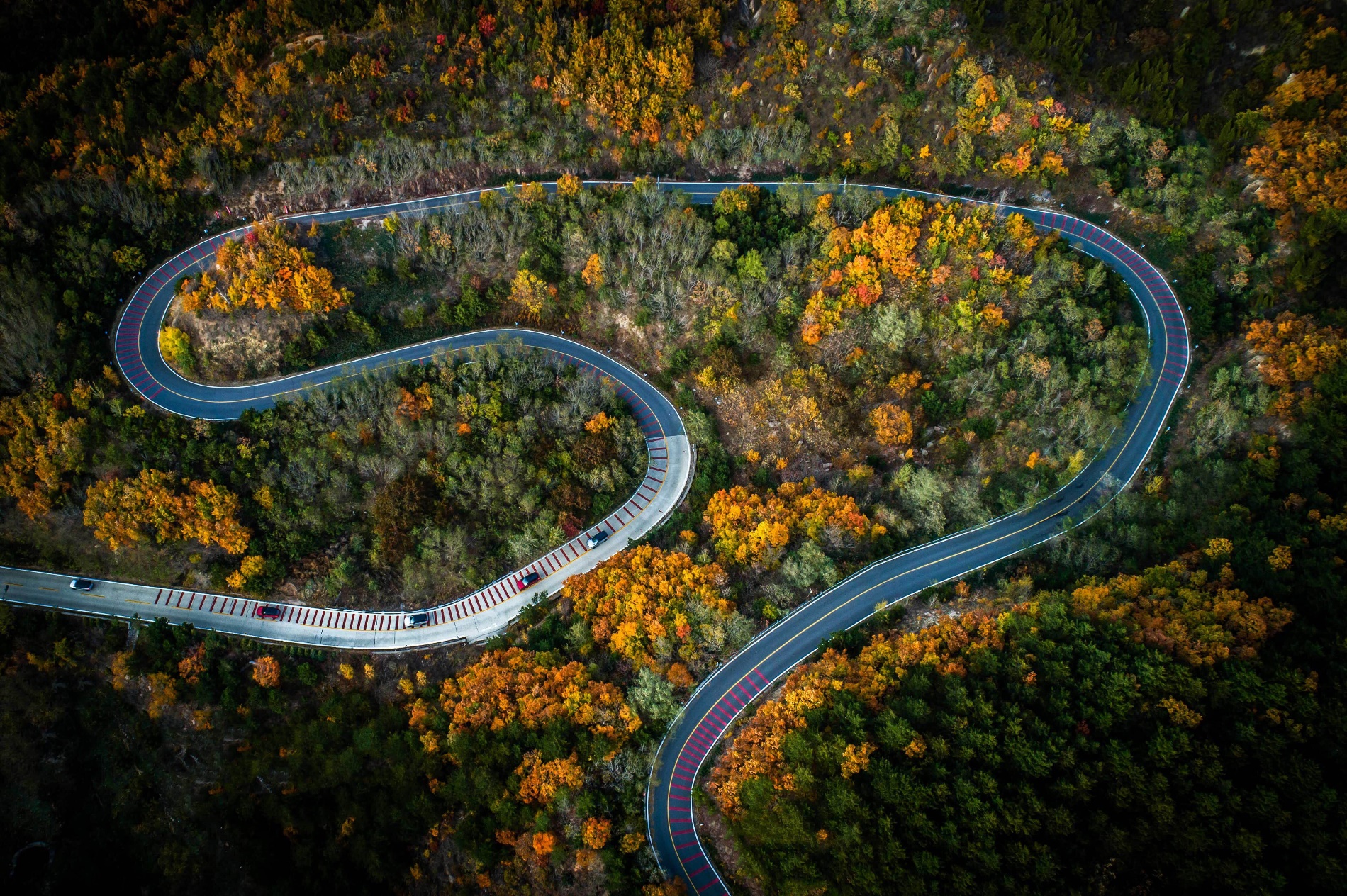 懂车更懂你24款路虎揽胜3.0,路虎揽胜3.0首发版